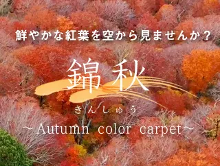 業務用鑑賞映像ソフト「錦秋 -Autumn color carpet-」