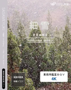 業務用鑑賞映像「細雪 ささめゆき －The first snow－」 4K画質