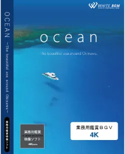 業務用鑑賞映像「ocean－The beautiful sea around Okinawa－」 4K画質