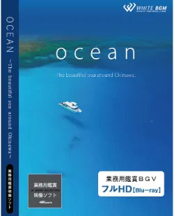 業務用鑑賞映像「ocean －The beautiful sea around Okinawa－」 フルHD画質