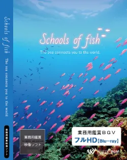 業務用鑑賞映像「Schools of fish －The sea connects you to the world.－」 フルHD画質